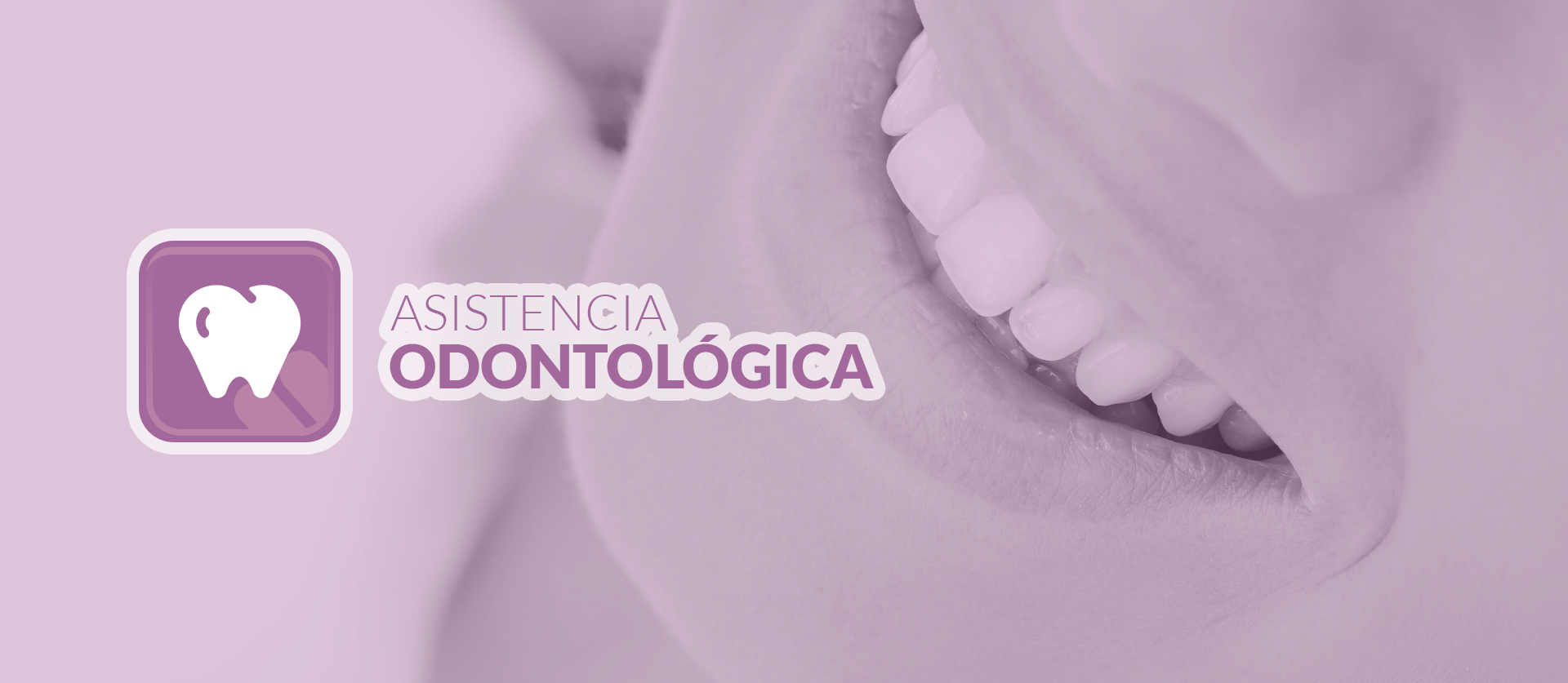 Odontologia